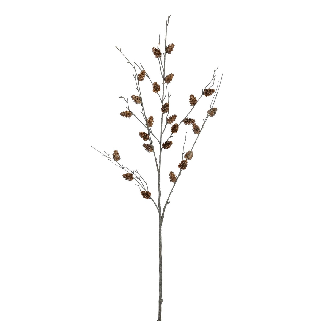 Ветка с шишками Edelman | Фото 1