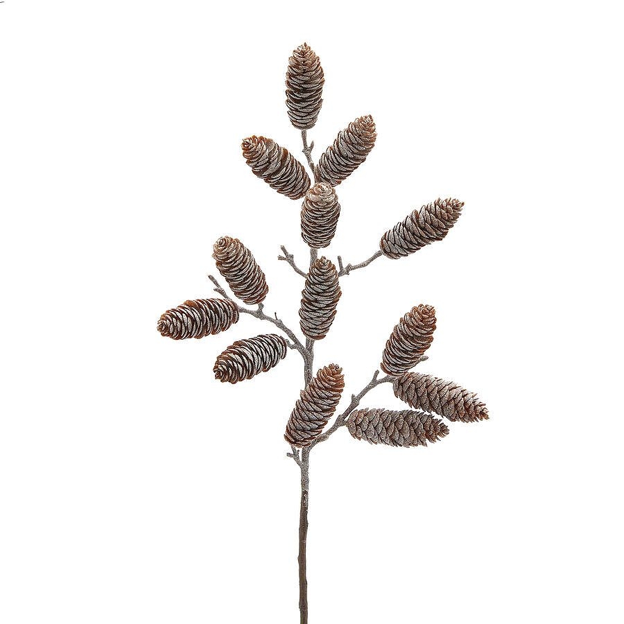 Ветка Шишки EDG | Фото 1