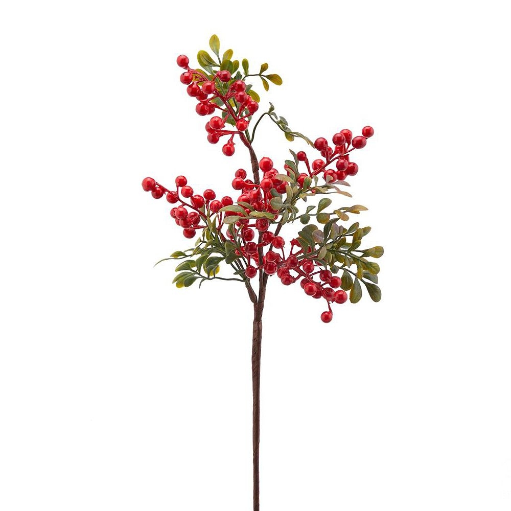 Ветка Снежноягодник EDG | Фото 1