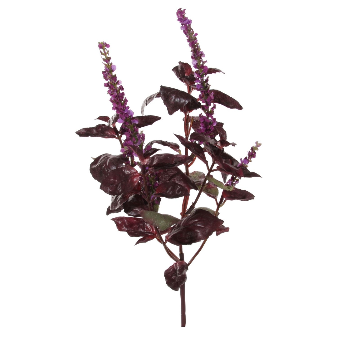 Ветка декоративная Базилик Shi-Shi | Фото 1
