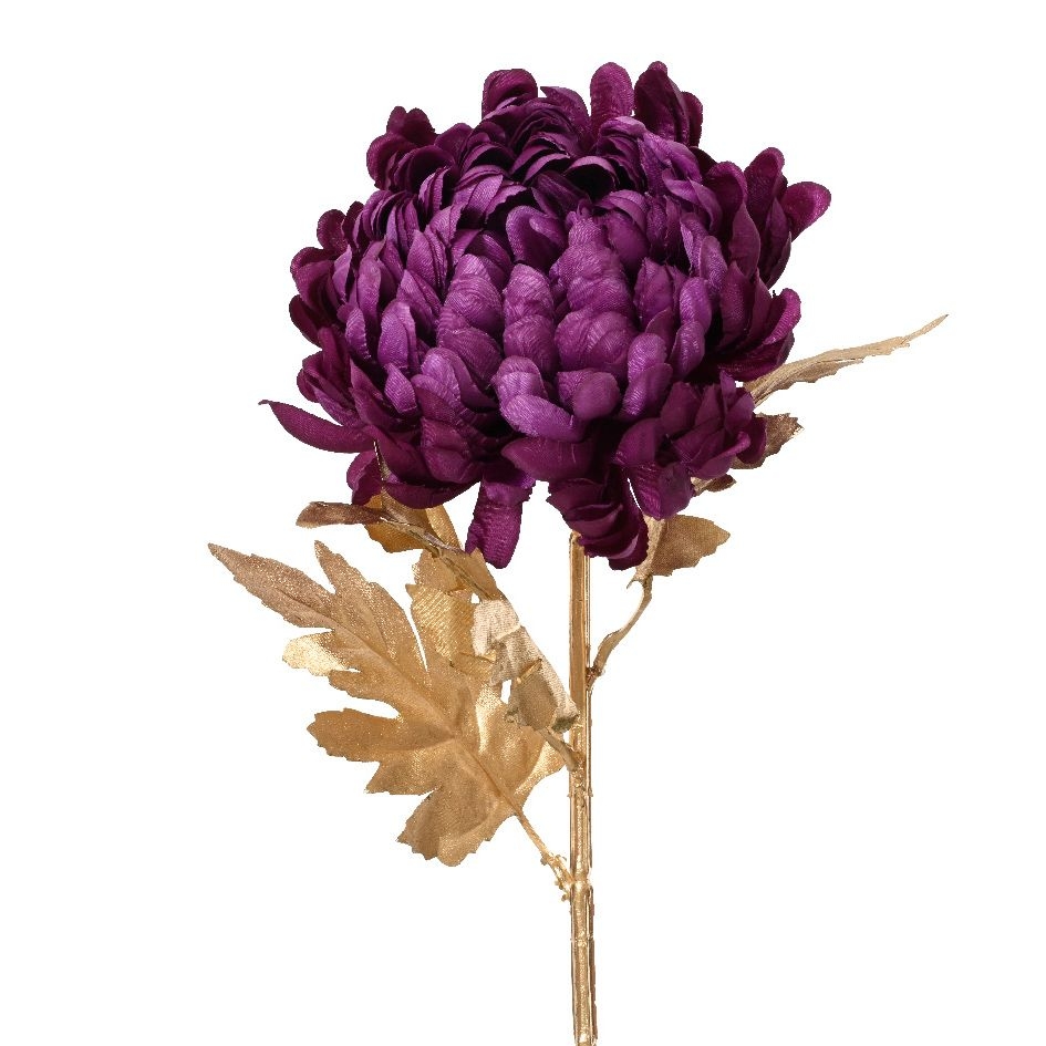 Пион Kaemingk | Фото 1