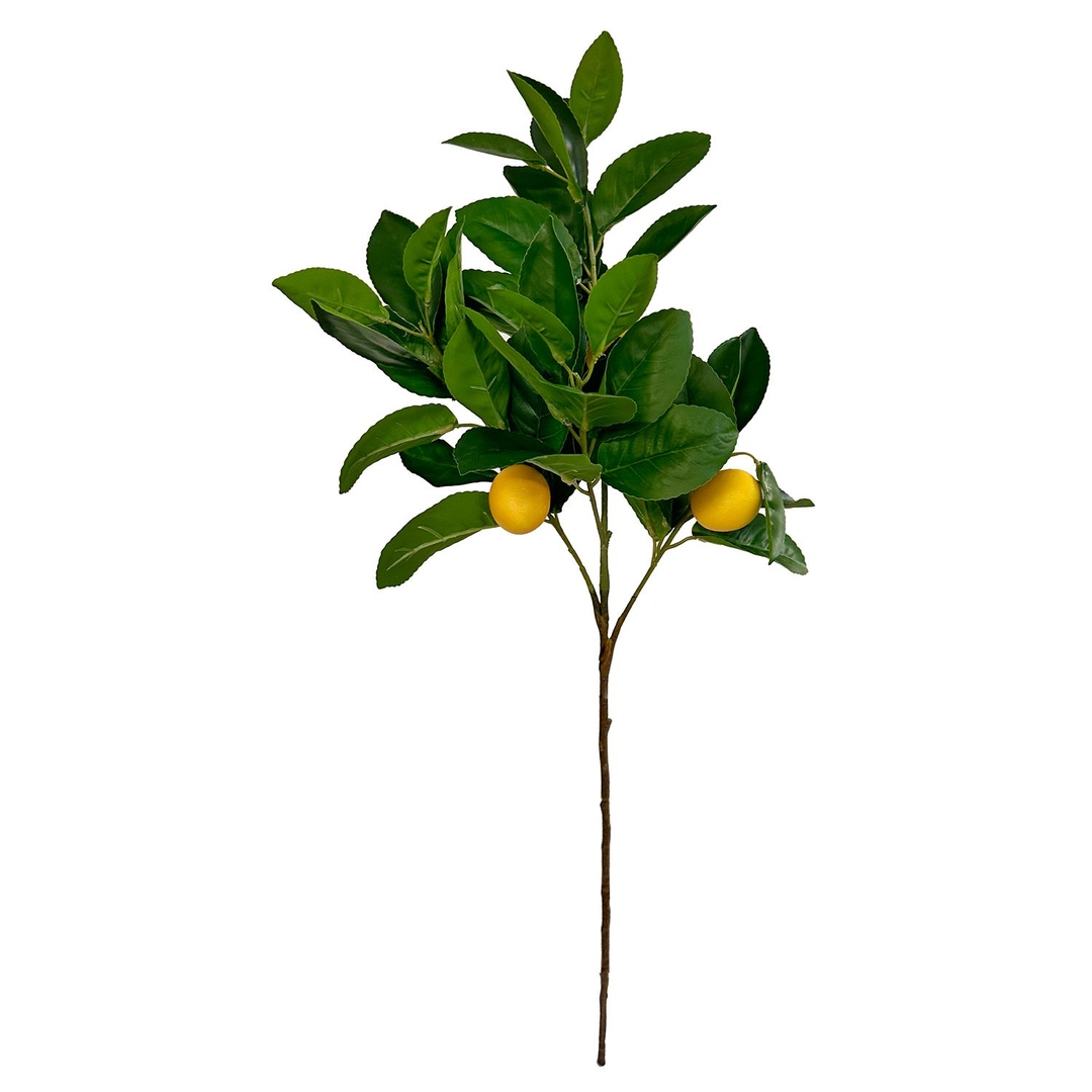 Ветка декоративная Лимон Shi-Shi | Фото 1