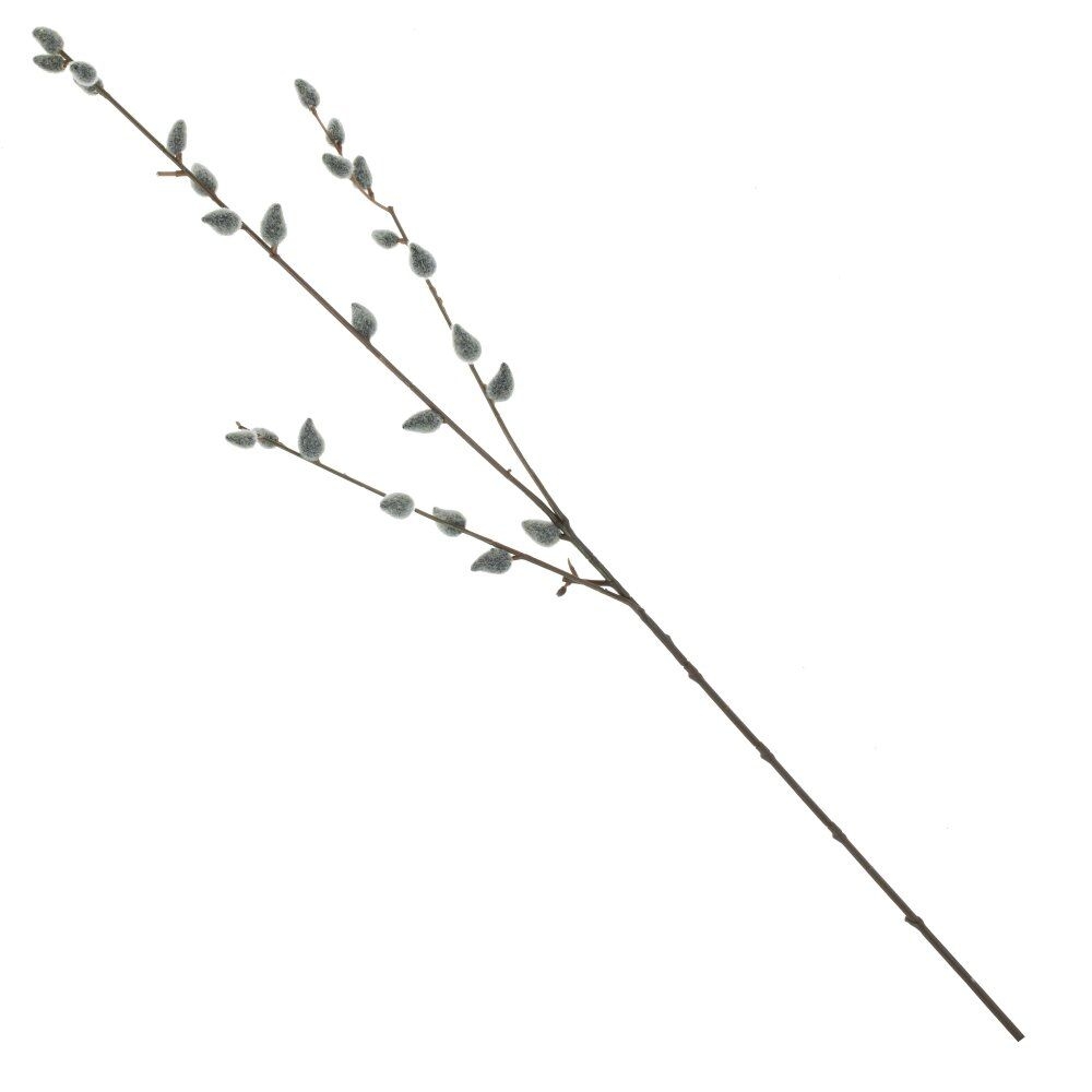 Ветка Верба | Фото 1