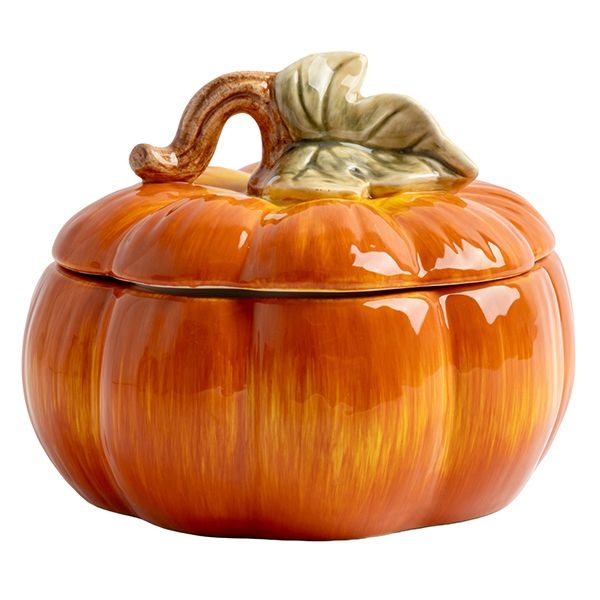 Ёмкость для хранения продуктов Anna Lafarg Bright pumpkin | Фото 1