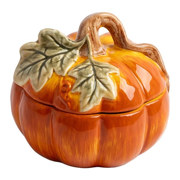 Ёмкость для хранения продуктов Anna Lafarg Bright pumpkin | Фото 1