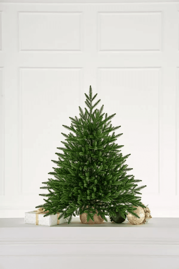 Ель настольная Александрийская Max Christmas, 0.7 м | Фото 1
