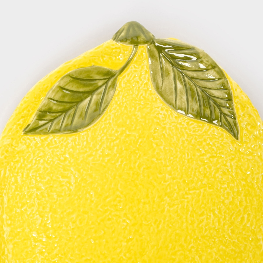 Блюдо сервировочное Anna Lafarg Lemon | Фото 3