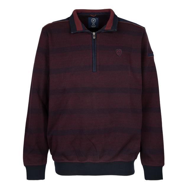 Мужской тройер в монохромную полоску Claudio Campione