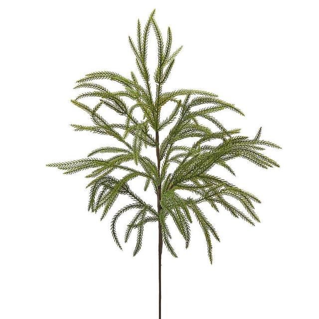 Ветка Еловая EDG