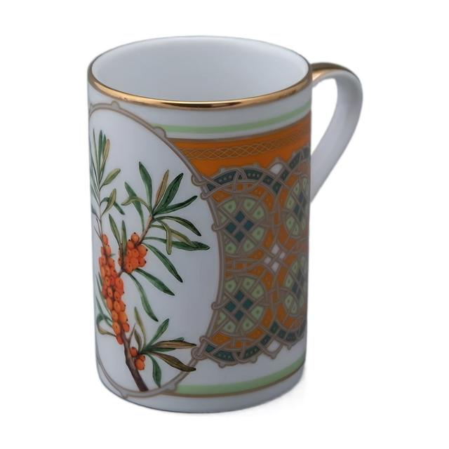 Кружка ИФЗ Облепиха сибирская