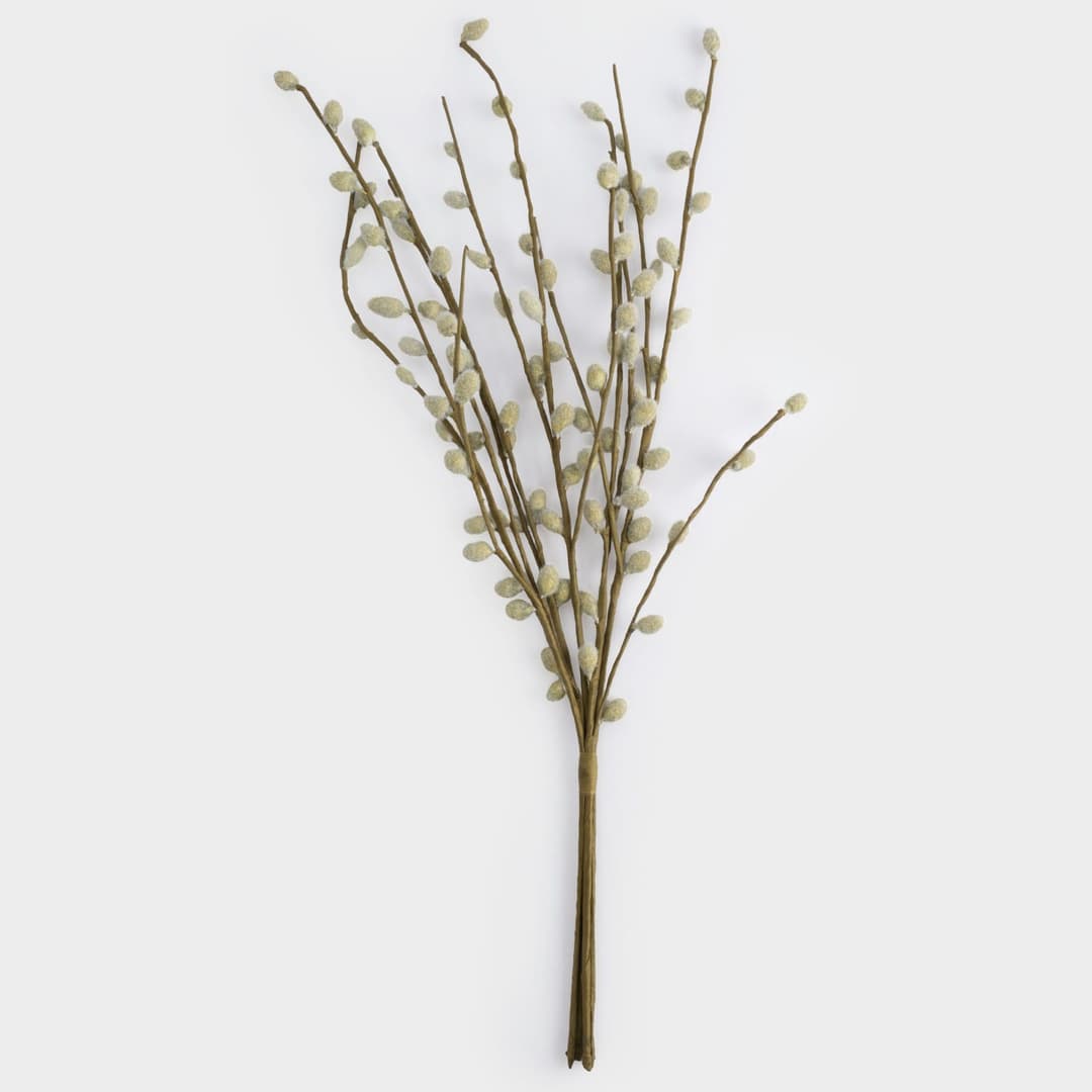 Ветка Anna Lafarg Верба | Фото 1