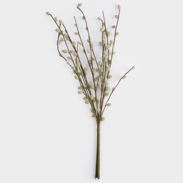 Ветка Anna Lafarg Верба