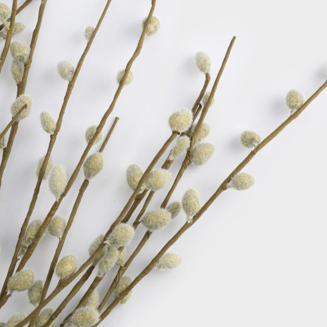 Ветка Anna Lafarg Верба | Фото 2