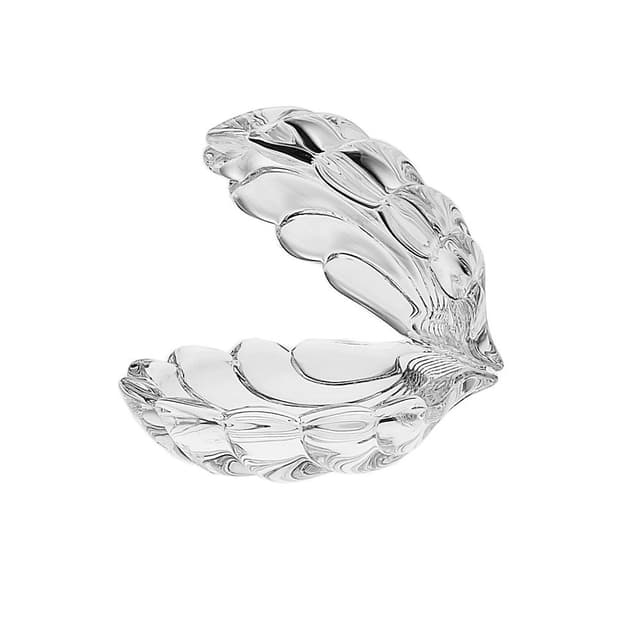 Доза Ракушка  Crystal Bohemia