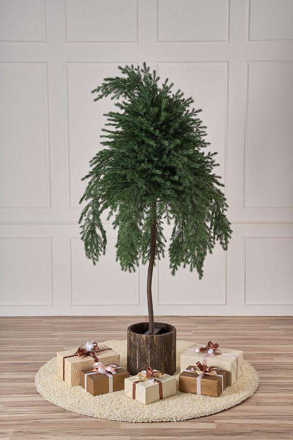 Ель Фиджи Max Christmas, 2.3 м