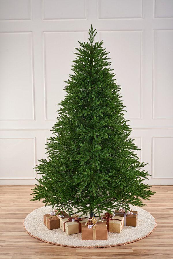 Ель Александрийская Max Christmas, 2.1 м