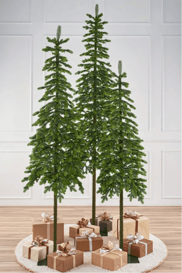 Ель Королева Тянь Шаня Max Christmas, 1.8 м