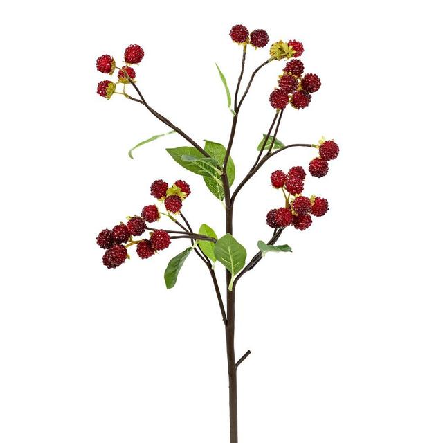 Ветка Малина