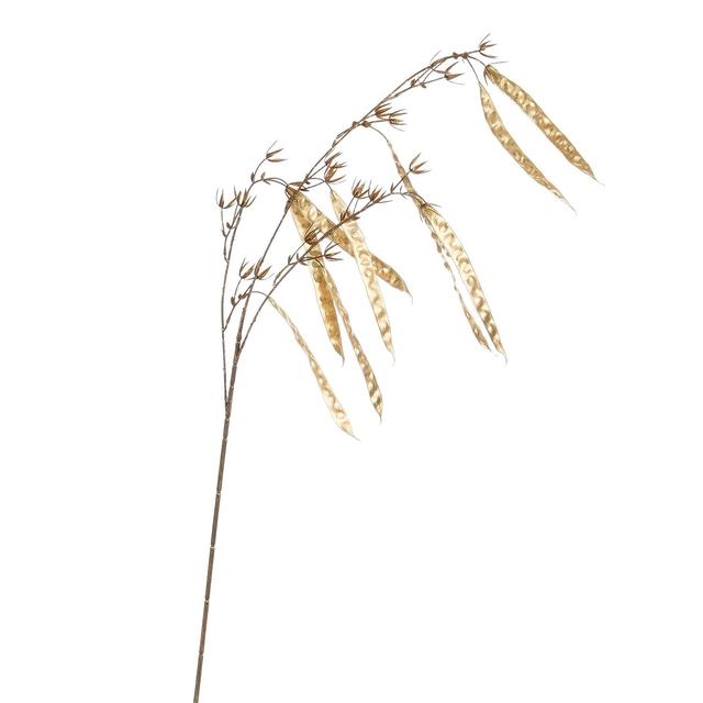 Ветка акации Edelman