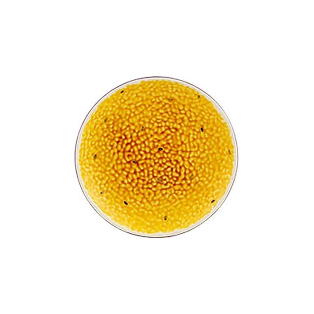Тарелка десертная Bordallo Pinheiro Tropical Fruits, Маракуйя 21 см