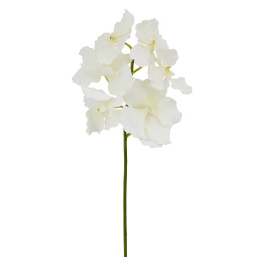 Цветы декоративные Ветка Орхидеи